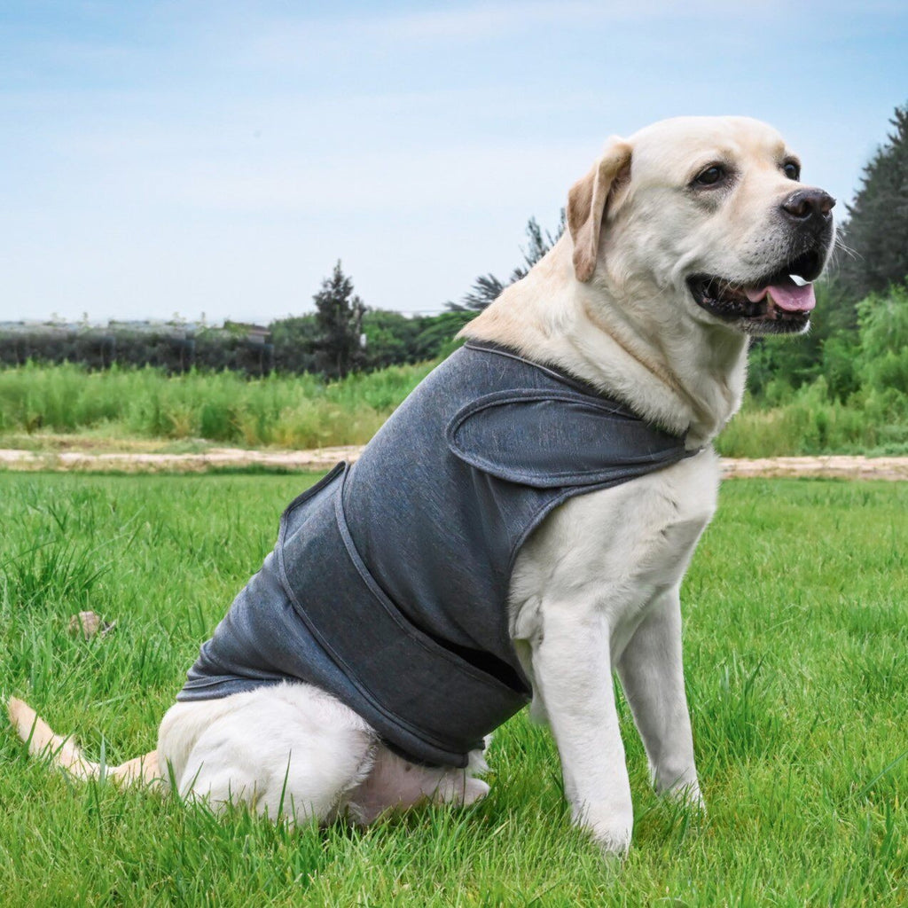 Pet Calming Vest — Gentle Pressure Comfort Wrap for Cats & Dogs