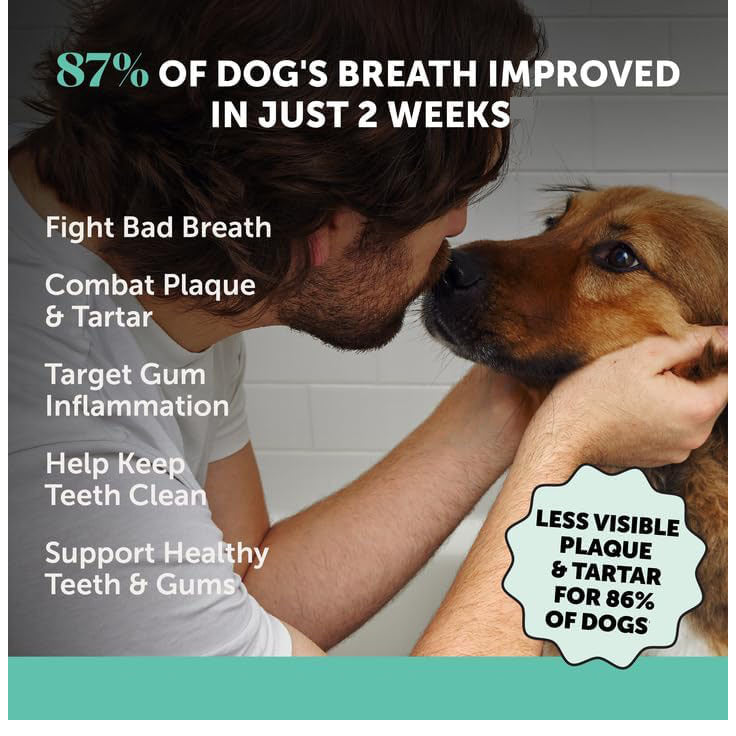 狗狗洁牙口气清新粉 — 狗狗口腔卫生护理