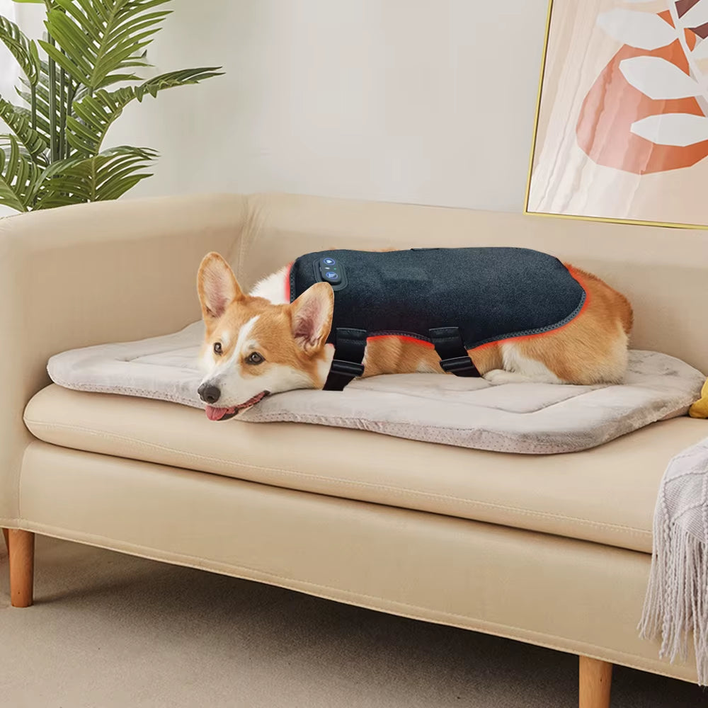 2026 Best-Selling New Dog/Cat Back Red Light Therapy Wrap for Pain Relief
