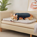 2026 Best-Selling New Dog/Cat Back Red Light Therapy Wrap for Pain Relief