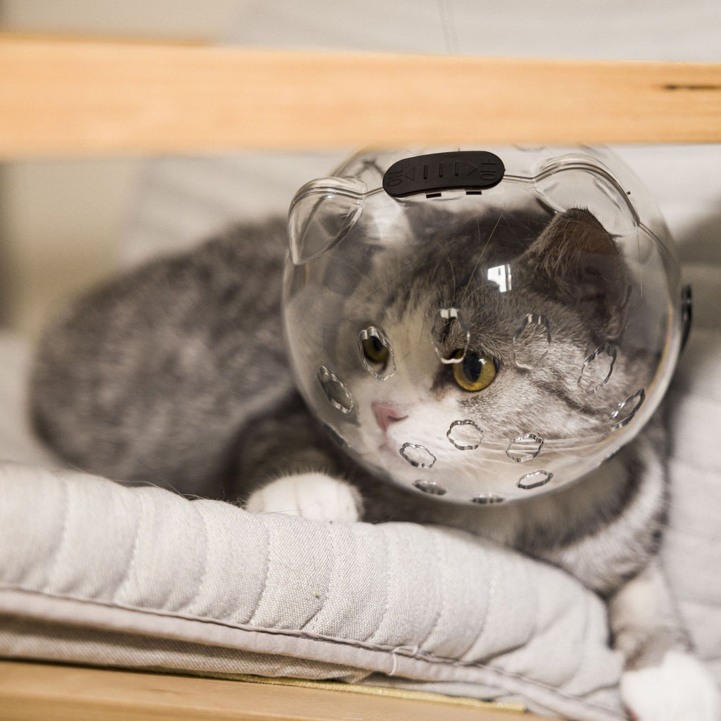 Adjustable Pet Safety Collar for Grooming