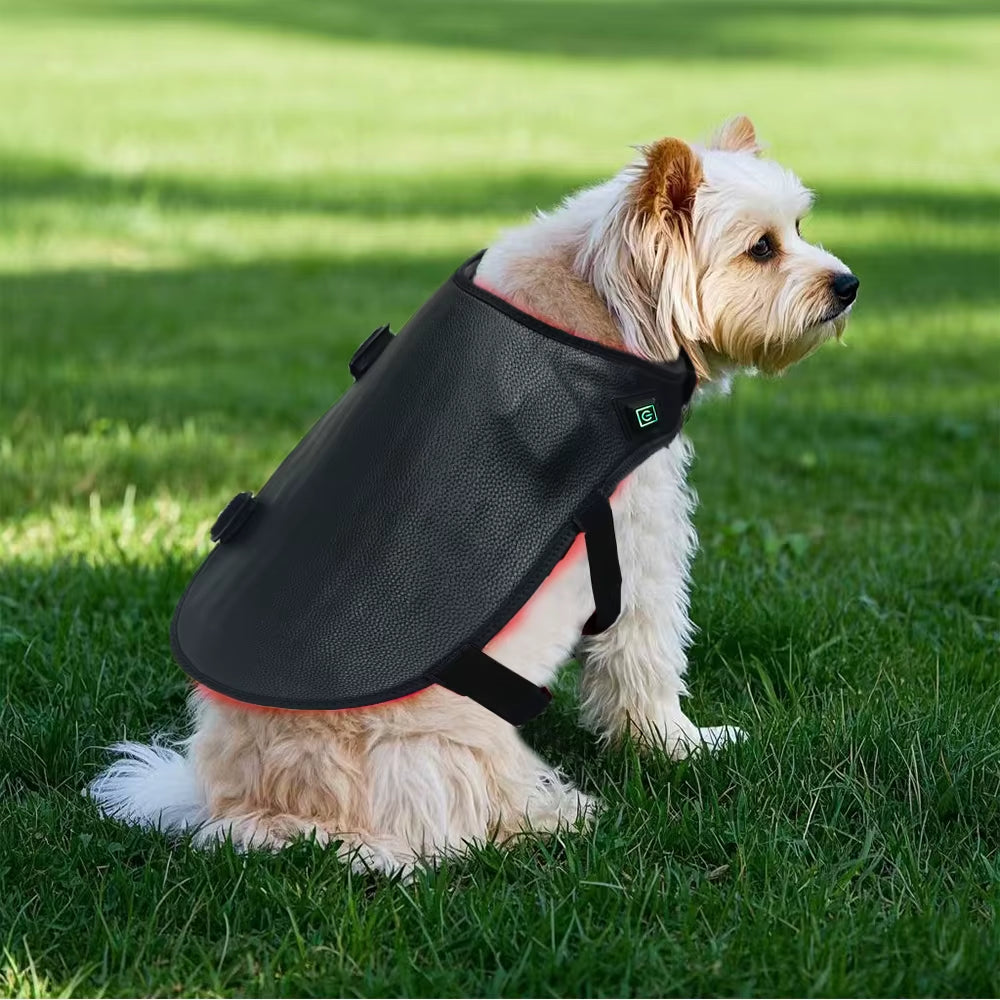 2026 Best-Selling New Dog/Cat Back Red Light Therapy Wrap for Pain Relief