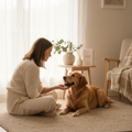 Live Pet Communication Pet Whisperer Session